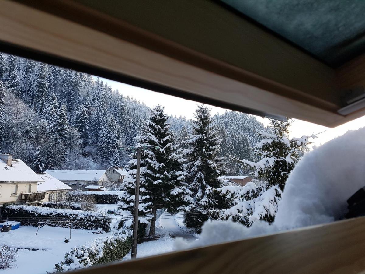 Le Petit Kichon Apartment Gerardmer Exterior photo